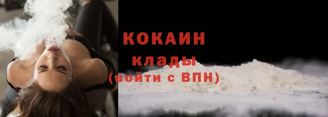 mdpv Волоколамск