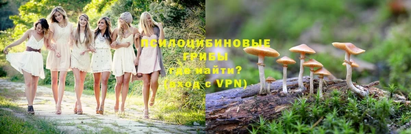mdpv Волоколамск