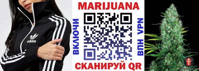 как найти закладки  Луза  Каннабис сатива 